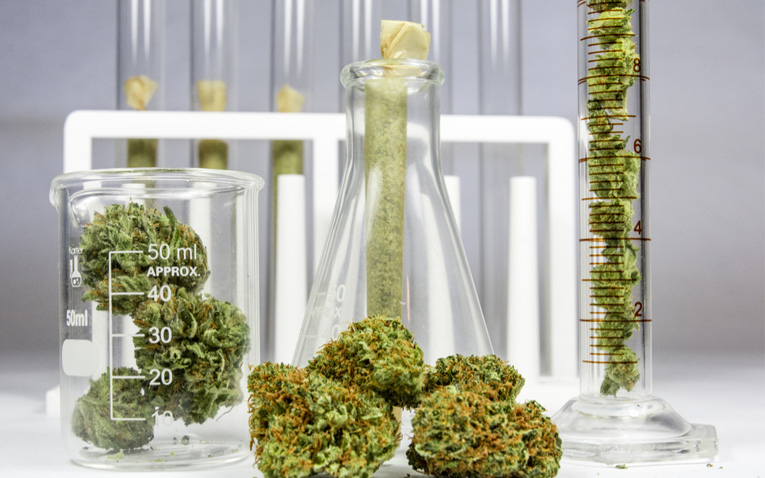 Udvindingsprocessen for CBD